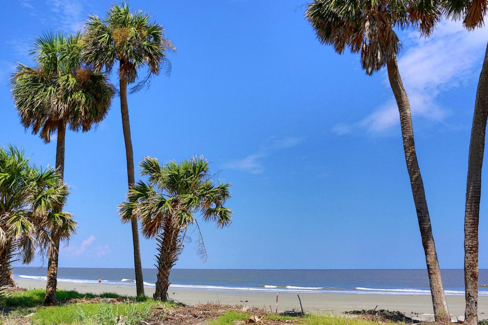 442 Oceanwoods Villa Kiawah Island Eksteriør billede